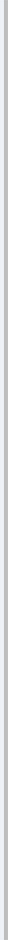 Gray vertical divider